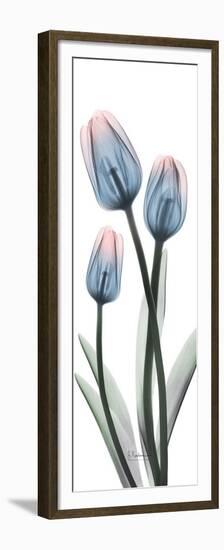 Gossamer Dipped Tulips 1-Albert Koetsier-Framed Premium Giclee Print