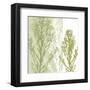 Gossamer Greens-Erin Clark-Framed Art Print