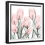 Gossamer Pink Tulips 1-Albert Koetsier-Framed Premium Giclee Print
