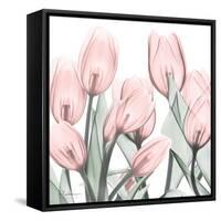 Gossamer Pink Tulips 1-Albert Koetsier-Framed Stretched Canvas