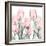 Gossamer Pink Tulips 1-Albert Koetsier-Framed Art Print