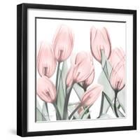 Gossamer Pink Tulips 1-Albert Koetsier-Framed Art Print