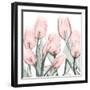 Gossamer Pink Tulips 1-Albert Koetsier-Framed Art Print