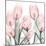 Gossamer Pink Tulips 1-Albert Koetsier-Mounted Art Print