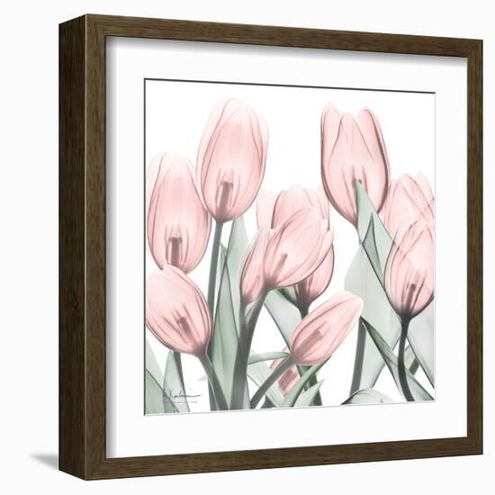 Gossamer Pink Tulips 1-Albert Koetsier-Framed Art Print