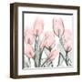 Gossamer Pink Tulips 1-Albert Koetsier-Framed Art Print