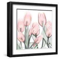Gossamer Pink Tulips 1-Albert Koetsier-Framed Art Print