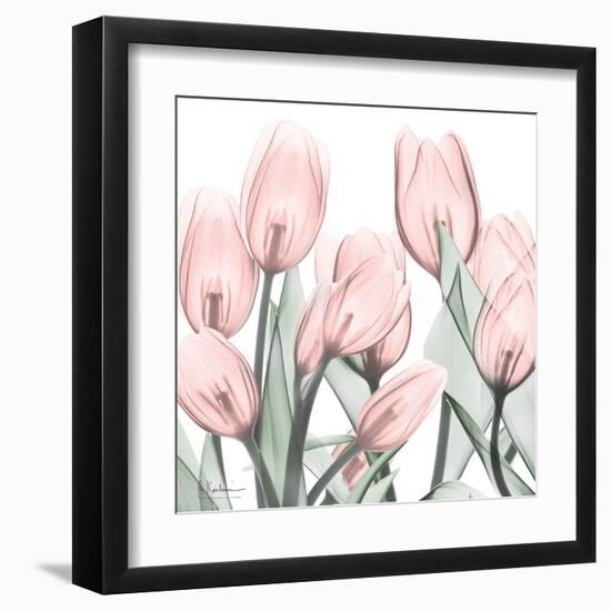 Gossamer Pink Tulips 1-Albert Koetsier-Framed Art Print