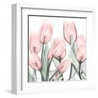 Gossamer Pink Tulips 1-Albert Koetsier-Framed Art Print