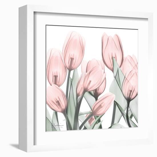 Gossamer Pink Tulips 1-Albert Koetsier-Framed Art Print