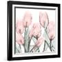 Gossamer Pink Tulips 1-Albert Koetsier-Framed Art Print