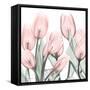 Gossamer Pink Tulips 1-Albert Koetsier-Framed Stretched Canvas
