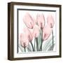 Gossamer Pink Tulips 2-Albert Koetsier-Framed Art Print