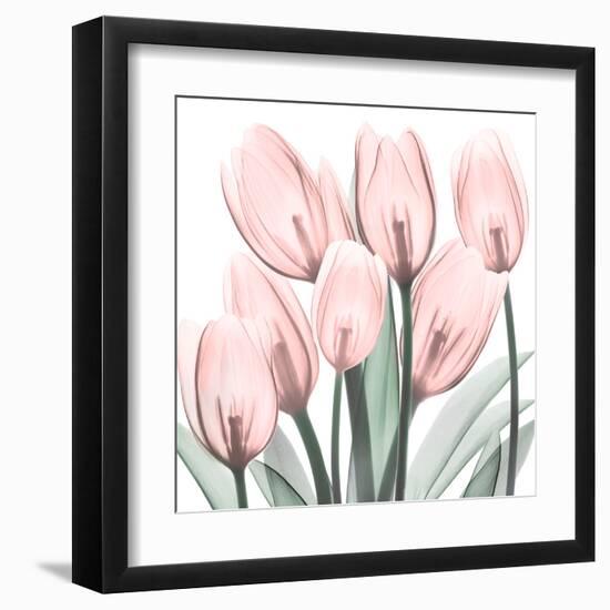 Gossamer Pink Tulips 2-Albert Koetsier-Framed Art Print