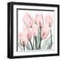 Gossamer Pink Tulips 2-Albert Koetsier-Framed Art Print