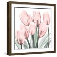 Gossamer Pink Tulips 2-Albert Koetsier-Framed Art Print