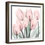 Gossamer Pink Tulips 2-Albert Koetsier-Framed Art Print