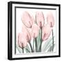 Gossamer Pink Tulips 2-Albert Koetsier-Framed Art Print