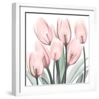Gossamer Pink Tulips 2-Albert Koetsier-Framed Art Print