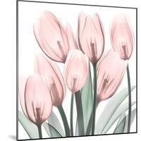Gossamer Pink Tulips 2-Albert Koetsier-Mounted Art Print