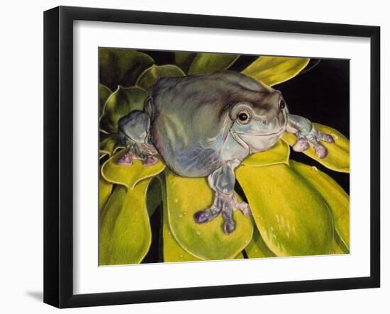 Got Bugs?-Barbara Keith-Framed Giclee Print