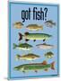 Got Fish-Mark Frost-Mounted Giclee Print