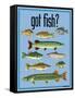 Got Fish-Mark Frost-Framed Stretched Canvas