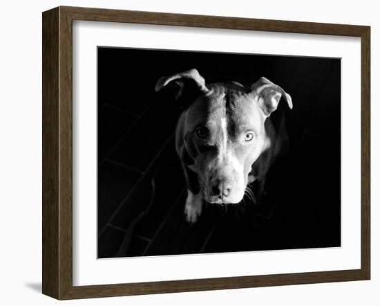 Got Love?-Sharon Wish-Framed Photographic Print