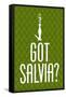 Got Salvia? Green Smoking Poster Print-null-Framed Stretched Canvas