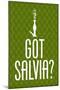 Got Salvia? Green Smoking Poster Print-null-Mounted Poster