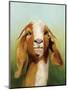 Got Your Goat v2-Julia Purinton-Mounted Art Print