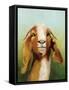 Got Your Goat v2-Julia Purinton-Framed Stretched Canvas