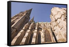 Gothic Architecture on Chartres Cathedral-Julian Elliott-Framed Stretched Canvas