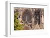 Gothic Architecture on the Notre Dame De Reims Cathedral-Julian Elliott-Framed Photographic Print