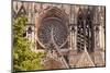 Gothic Architecture on the Notre Dame De Reims Cathedral-Julian Elliott-Mounted Photographic Print