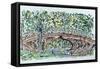 Gothic Bridge, Central Park-Anthony Butera-Framed Stretched Canvas