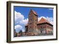 Brown Frame