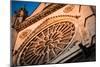 Gothic Cathedral in Spain-Felipe Rodriguez-Mounted Photographic Print
