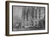 Gothic Cathedral of St. Etienne, from France Illustrated, with Drawings by Thomas Allom-null-Framed Photographic Print