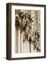 Gothic Cathedral Stone Detail-null-Framed Art Print