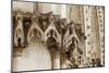 Gothic Cathedral Stone Detail-null-Mounted Art Print