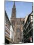 Gothic Christian Cathedral Dating from the 12th to 15th Centuries, Strasbourg, Alsace, France-Geoff Renner-Mounted Photographic Print