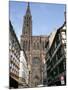 Gothic Christian Cathedral Dating from the 12th to 15th Centuries, Strasbourg, Alsace, France-Geoff Renner-Mounted Photographic Print