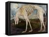 Gothic Hound-jocasta shakespeare-Framed Stretched Canvas