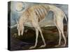 Gothic Hound-jocasta shakespeare-Stretched Canvas