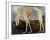 Gothic Hound-jocasta shakespeare-Framed Giclee Print