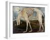 Gothic Hound-jocasta shakespeare-Framed Giclee Print