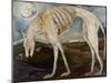 Gothic Hound-jocasta shakespeare-Mounted Giclee Print