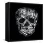 Gothic Image of a Human Skull in Black and White Isolated on Black Background-Valentina Photos-Framed Stretched Canvas