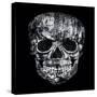 Gothic Image of a Human Skull in Black and White Isolated on Black Background-Valentina Photos-Stretched Canvas